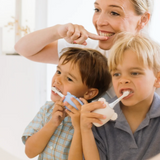 Brosse à dents électrique｜Koala