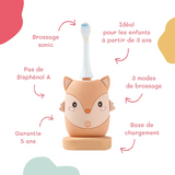 Brosse à dents électrique｜Renard