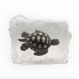 Savon figurine | Tortue
