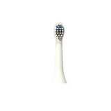 Lot de 2 têtes de brossage