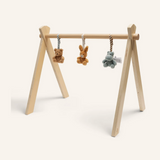 Set de 3 jouets pour arche d'éveil | Jollies