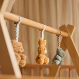 Set de 3 jouets pour arche d'éveil | Jollies