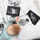 Cartes noir & blanc | Animaux
