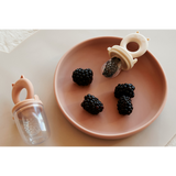 Tétines grignoteuses | Rose