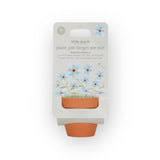 Kit de plantation | Myosotis