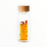 Bouteille sensorielle | Automne
