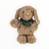 Lapin interactif | Parle & Danse