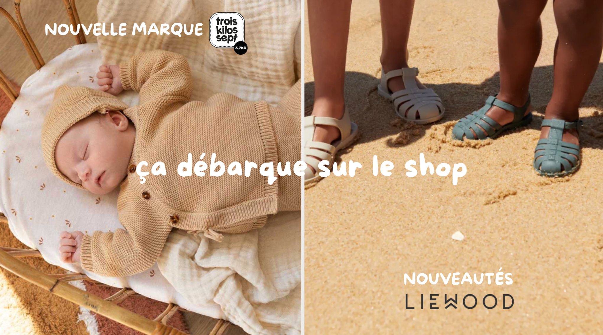 Image de diapositive