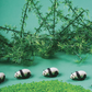 Bouteille sensorielle | Panda