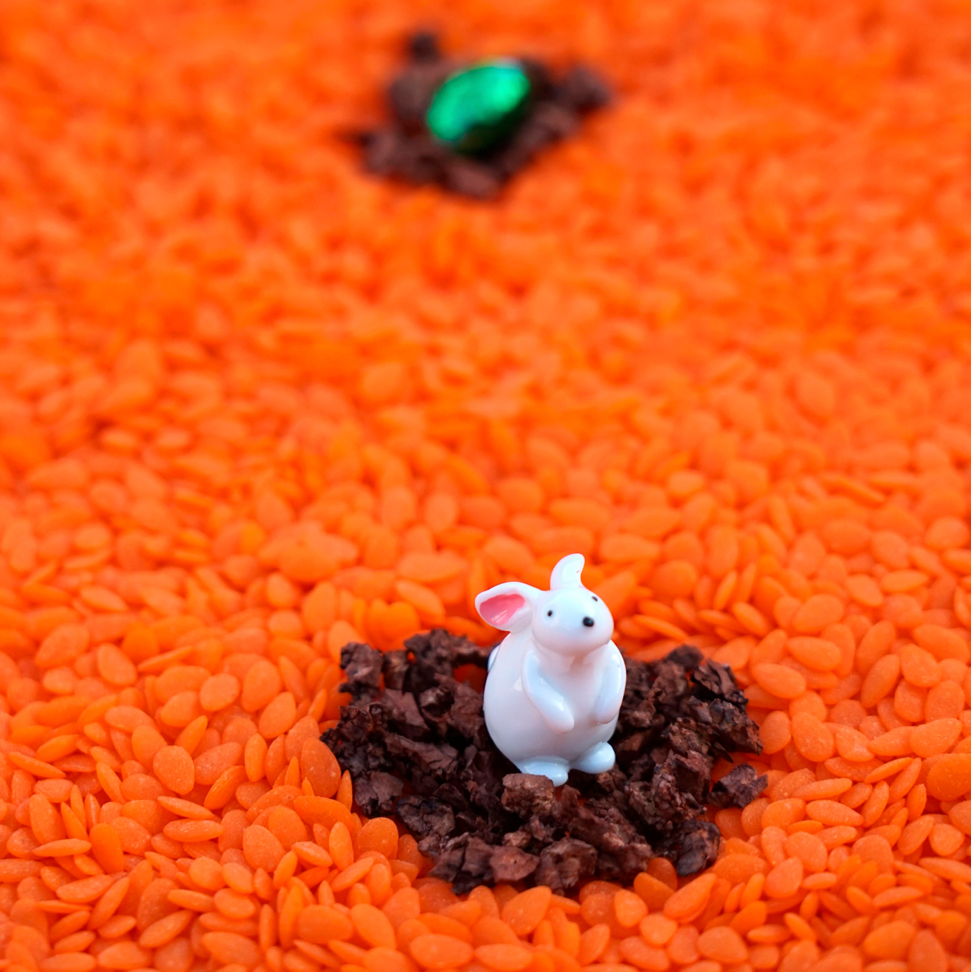 Bouteille sensorielle | Lapin
