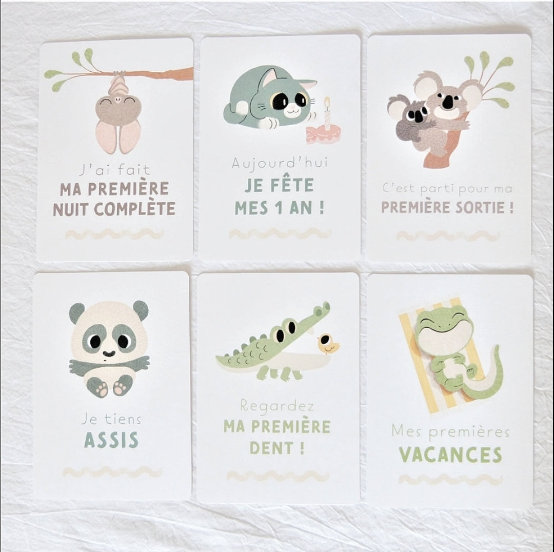  Cartes étapes bébé Ma première année: 19 cartes à découper  (French Edition): 9798856202907: Clafoutis, MyMy: Books